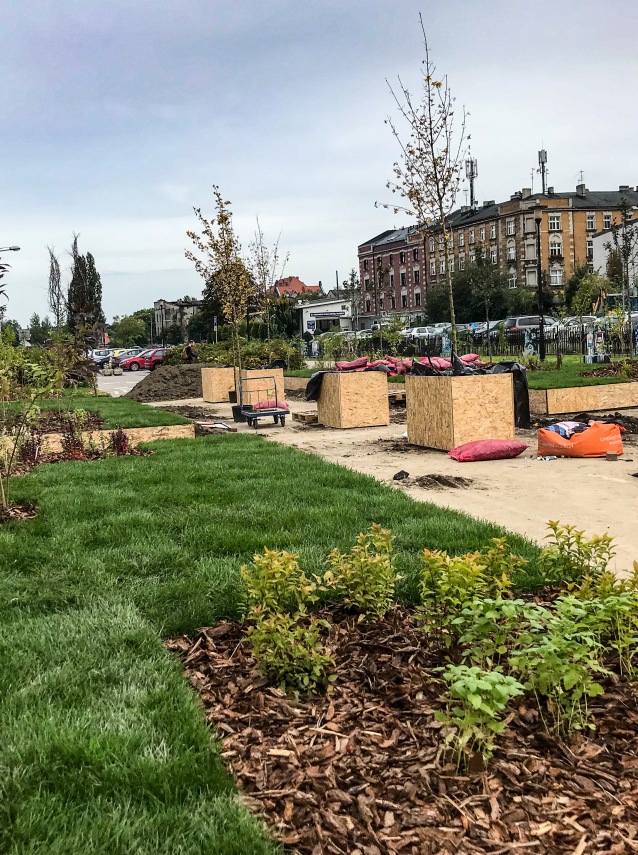 Park miejski w budowie z nowo zasadzonymi drzewami, zieloną trawą, ściółką, drewnianymi osłonami drzew i workami z ziemią. Budynki i zaparkowane samochody są widoczne w tle pod zachmurzonym niebem.