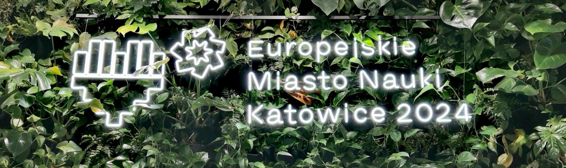 Neonowy napis „Europejskie Miasto Nauki Katowice 2024” z abstrakcyjnymi symbolami, zamontowany na bujnej zielonej ścianie roślin.